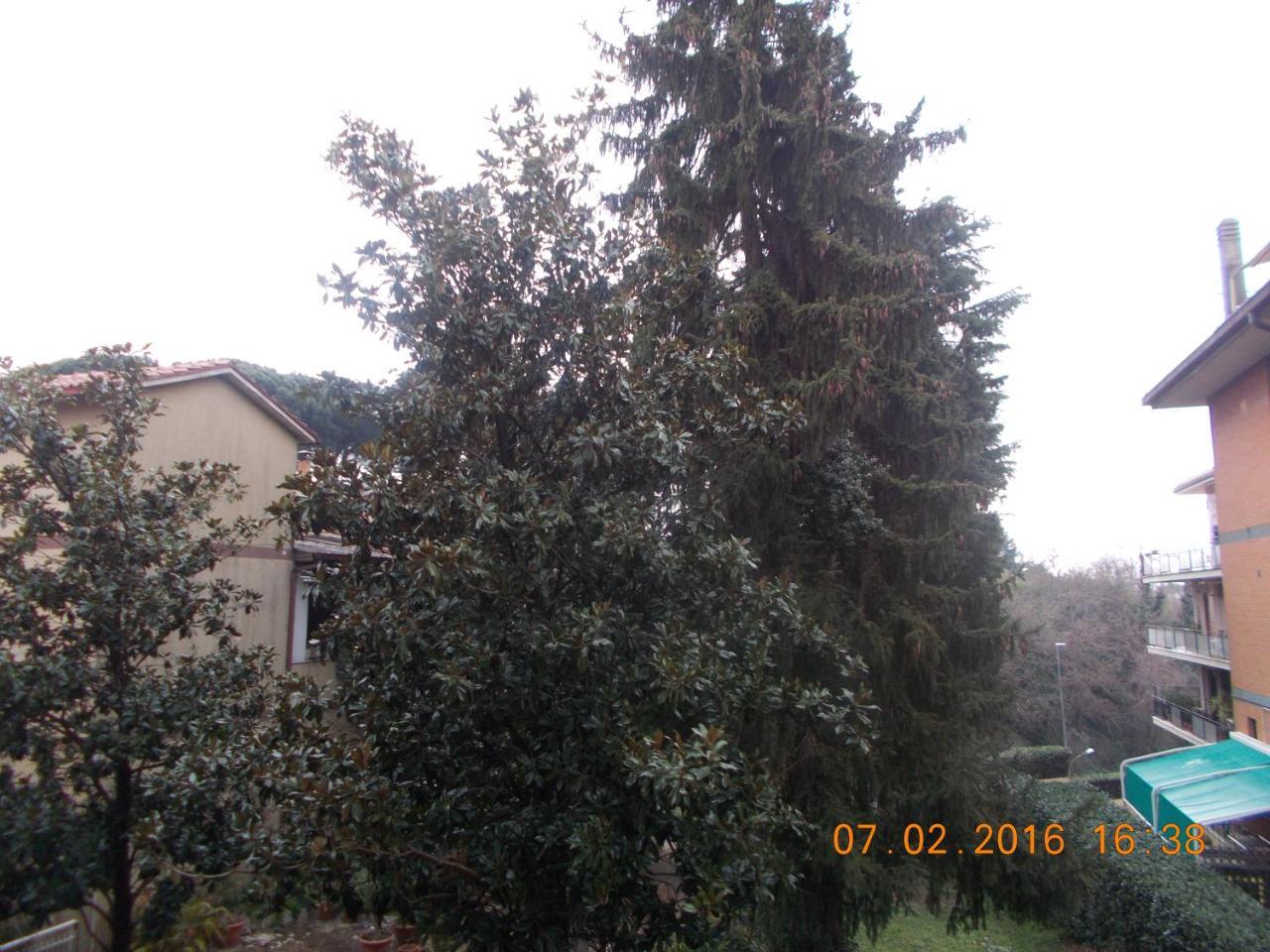 Appartamento I Cedri 산 체사레오 외부 사진